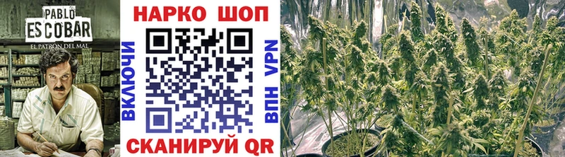 Где можно купить наркотики Ермолино COCAIN  A PVP  Бутират  Гашиш 