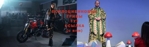 apvp Медвежьегорск