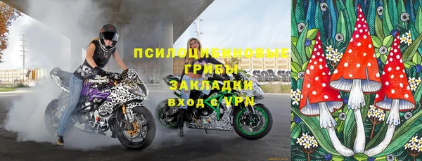 гидропоника Медногорск
