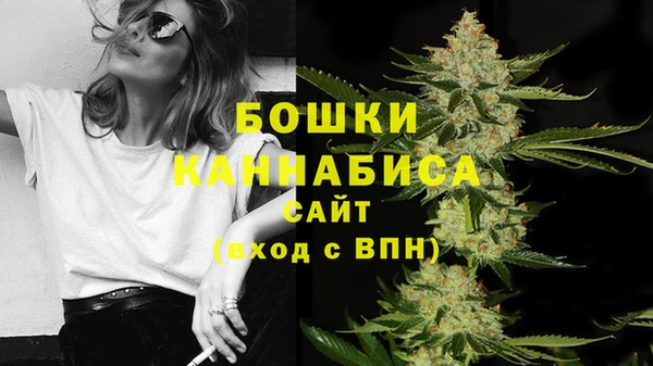 бошки Вязьма