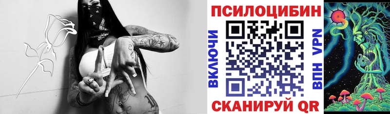 ссылка на мегу как войти  Ермолино  Галлюциногенные грибы Cubensis 
